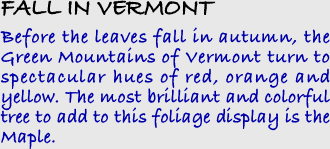 Vermont Information